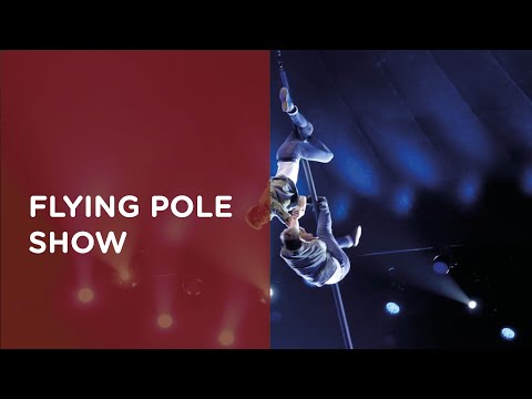 FREESTYLE ARTISTS - FLYING POLE SHOW