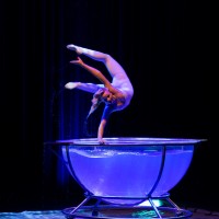 Waterbowl Akrobatik Show