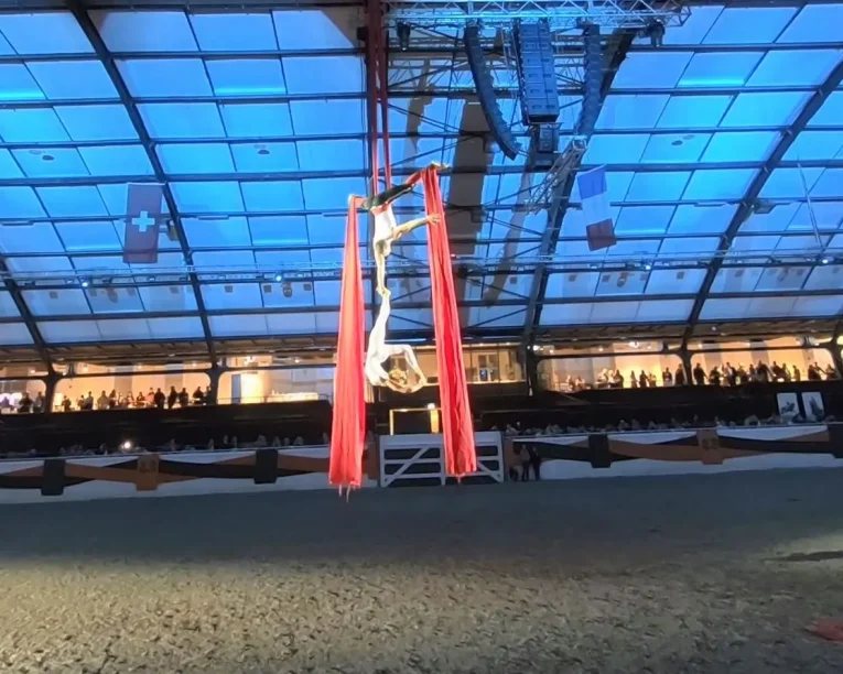 Eine Luftakrobatin hängt kopfüber an roten Seilen bei einer Sportveranstaltung in einer großen Halle, während die Zuschauer hinter einer Absperrung zusehen. Die gläserne Decke und die Schweizer Fahnen tragen zur Aufregung der Vorstellung bei.